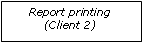 Text Box: Report printing(Client 2)
