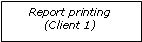 Text Box: Report printing(Client 1)