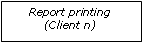 Text Box: Report printing(Client n)